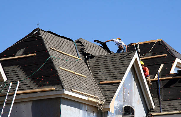 Best Shingle Roofing Installation  in Lake Magdalene, FL