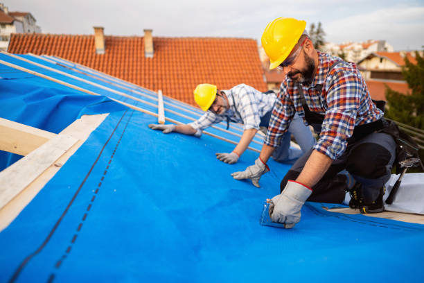 Gutter Installation and Roofing in Lake Magdalene, FL
