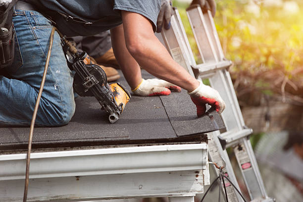 Professional Roofing Contractor in Lake Magdalene, FL